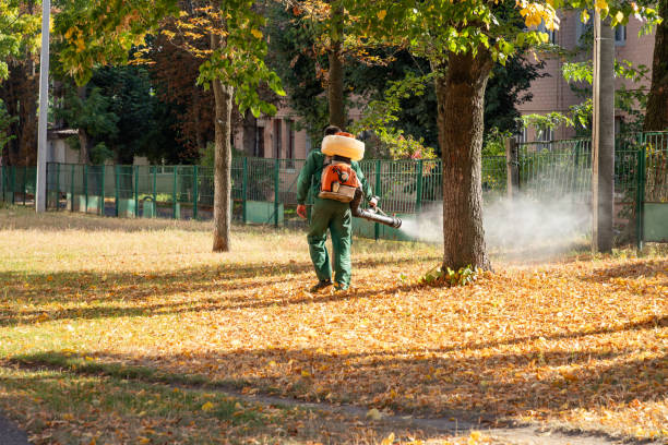 Best Wildlife Control Services  in Colony Rk, PA