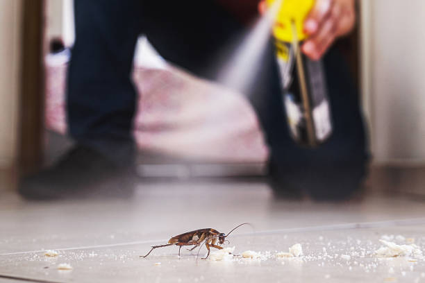 Best Termite Control Services  in Colony Rk, PA